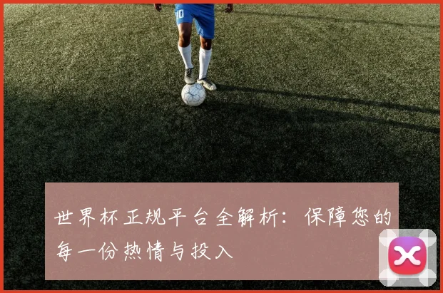 世界杯正规平台全解析：保障您的每一份热情与投入