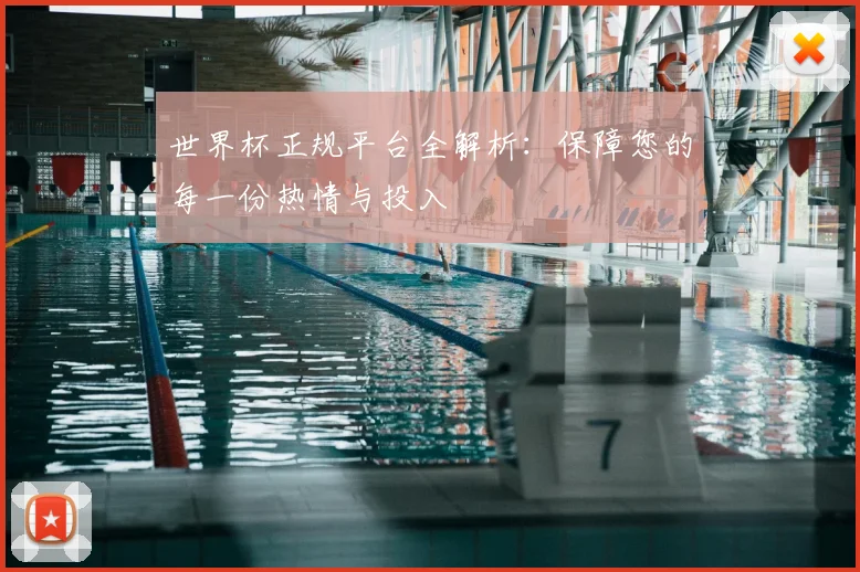 世界杯正规平台全解析：保障您的每一份热情与投入