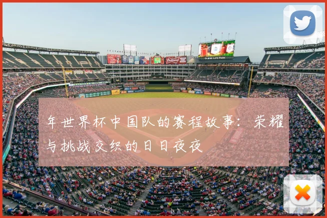 年世界杯中国队的赛程故事:荣耀与挑战交织的日日夜夜